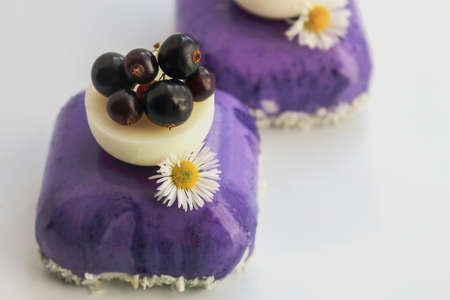 Purple black currant seeds mousse desserts with white chocolate, coconut and edible flower isolated...