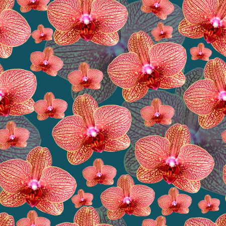 Pink orchid with red veins seamless patternの写真素材