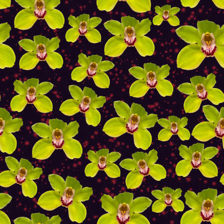Green orchid with red watercolor splashes seamless pattern on blackの写真素材