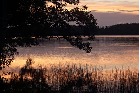 Lake framed by tree branch and reed in sunset light