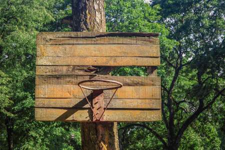 Old rusty metal basketball ring without basket hanging on broken wooden plank board on tree leaves...