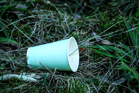 Recycled paper coffee cup lying in the forest on green grassの写真素材