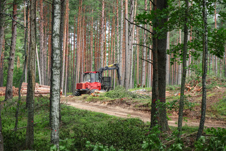 Red forest machine that clears trees in green summer forest standing near sandy road surrounded by...