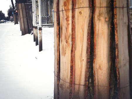 Wood boards placed around a tree trunk and secured with wire to protect it from damage during road construction in winter close upの写真素材