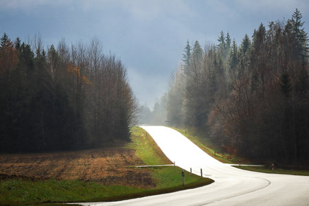 Beautiful light falling on asphalt road by sunset sky through clouds with pine forest from both...