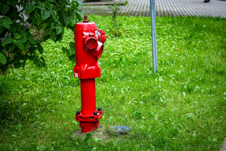 Single red fire hydrant on green lawn ner road and green hedge in summer sunの写真素材