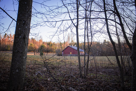 Red small house in forest by line of trees far in the meadow with bluesky in sunset lightの写真素材