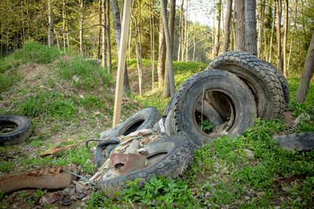 Old big vehicle tires left abandoned in green spring forest background on sunny dayのeditorial素材