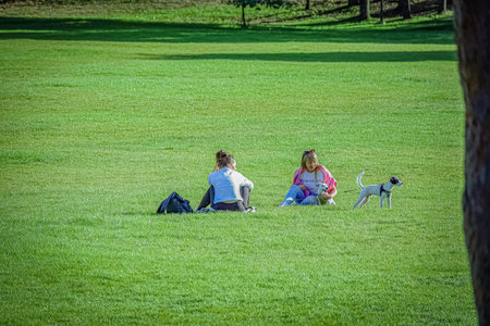 Vilnius, Lithuania 20 10 2022: Two ladies sitting on green grass lawn with small dog on sunny dayのeditorial素材