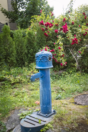 Blue water pump standing in a yard near big rosehip hedge with pink flowers in backgroundの写真素材
