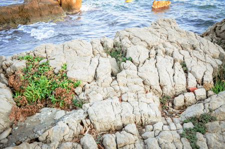 Giant rock textured cliff edge with juicy greenery isolated on sea waves background on sunny day sunlight.の写真素材