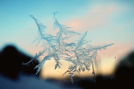 Frost pattern on window glass in winter cold blue light with pink glimpses of sunset. Christmas and New Year natural background.の写真素材