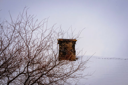 Snow covered old chimney and house roof top overlapped by leafless tree branches on a sky backgroundの写真素材