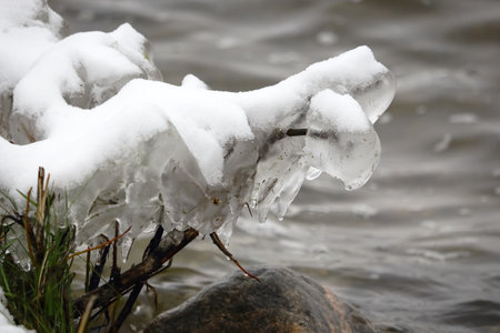 Ice covered shrub branch with frozen thick layer of ice covered in snow by snow near lake waterの写真素材