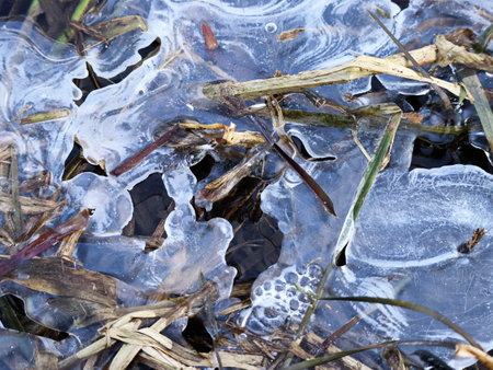 A close-up of fractured ice on a frozen water surface, showcasing natures delicate winter patterns.の写真素材