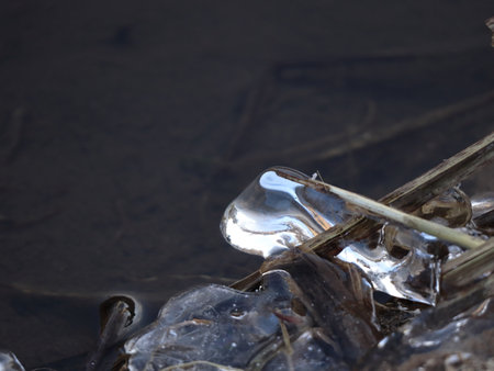 Natural Ice Sculpture on Reed Stem Resembling Frozen Glass Dropの写真素材
