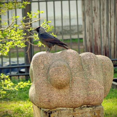 jackdaw on granite fig hand sculpture, symbolic public art in park, daugavpils, latviaの写真素材