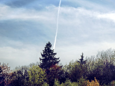 plane trail over pine tree and forest, clear sky with natural landscapeの写真素材