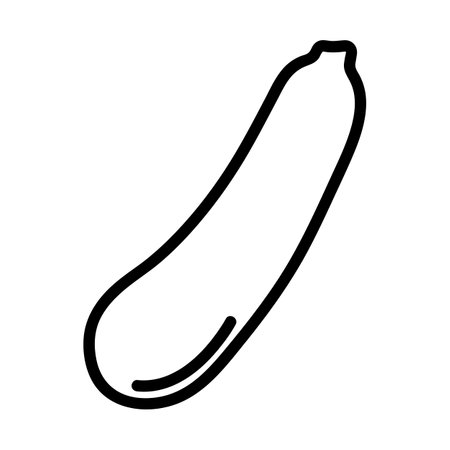 Zucchini icon vector. A thin line sign. Isolated contour symbol illustrationのイラスト素材