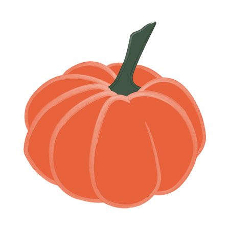 Pumpkin on a white background. Isolated vector illustration.のイラスト素材