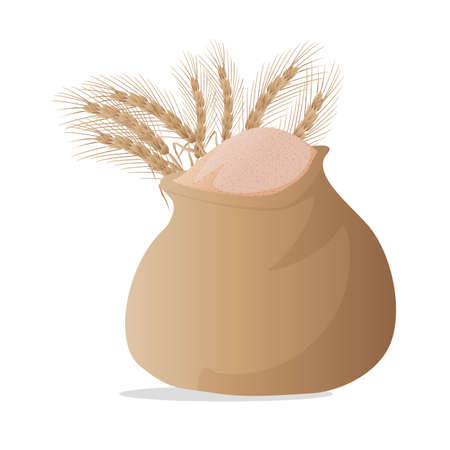 wheat grain isolated on bag white backgroundのイラスト素材
