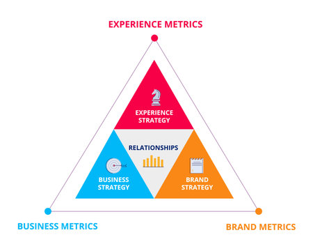 Experience business brand metrics infographic diagram white isolated background with flat color...