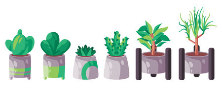 Indor plant in pot group of gardening green set of various plantのイラスト素材