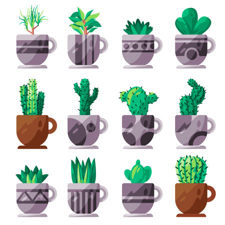 Cactus cacti mexican plant potted collection set in planter cupのイラスト素材