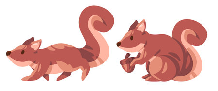 Squirrel big tail standing holding food pose in brown color illustrationのイラスト素材