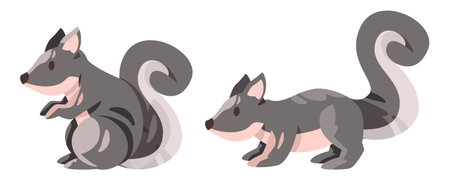 Squirrel big tail standing set collection pose in grey color illustrationのイラスト素材
