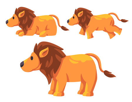 Lion africa hairy cute design illustration set collection of jungle kingのイラスト素材