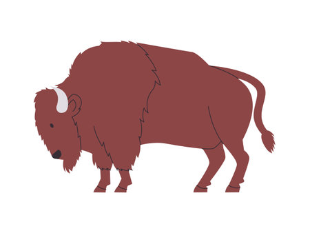 brown color American bison wild nature mammal animal with horned and big strong power dangerous herbivoreのイラスト素材