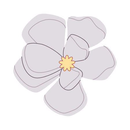 white color flower beautiful nature plant soft blossom springtime season beauty decorationのイラスト素材