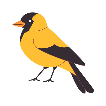 yellow and black color american goldfinch bird small cute beautiful species wild nature animal flying freedomのイラスト素材