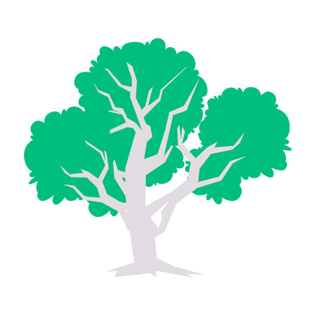 big tree with white trunk green foliage ecology fresh environment nature growth high plant and large woodのイラスト素材