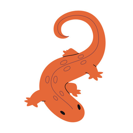 red spotted newt with orange color skin wild nature amphibian animal unique species in north americaのイラスト素材
