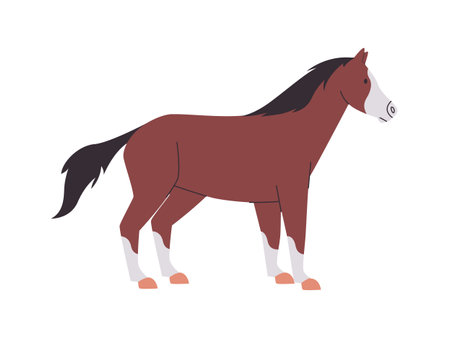 white and brown color horse mare or stallion wild nature mammal animal have tail and power fast runのイラスト素材