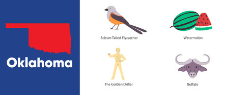 Oklahoma states map shape symbol object of scissor tailed flycatcher buffalo the golden driller America country illustrationのイラスト素材