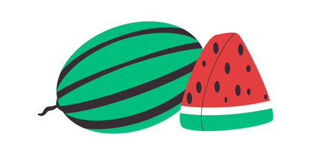 watermelon and piece fruit healthy delicious fresh sweet taste tropical natural foodのイラスト素材
