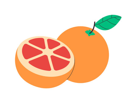 orange color grapefruit round shape health nutrition vitamin nature fruit fresh with sweet taste foodのイラスト素材