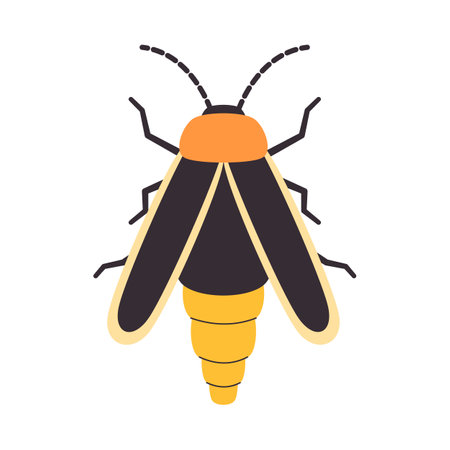 yellow color firefly wild nature insect small animal wing fly in outdoor with glowing brightのイラスト素材