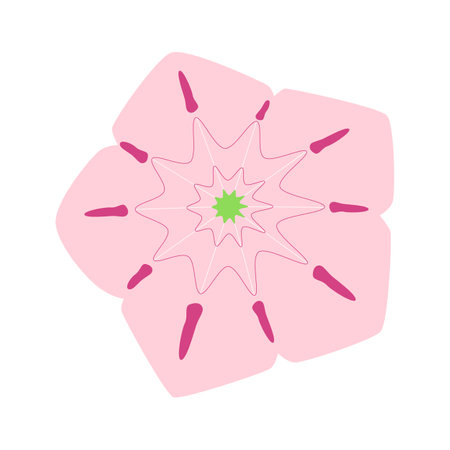 pink color flower beautiful nature plant soft texture blossom spring season beauty fresh floralのイラスト素材