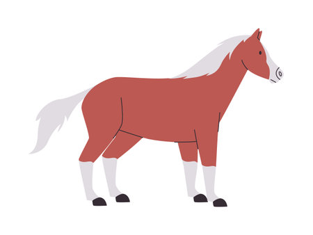 brown and white color horse mare or stallion wild nature mammal animal have tail and power fast runのイラスト素材