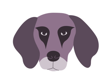 gray color head plott hound dog breed mammal domestic animal with floppy ears cute adorable doggyのイラスト素材