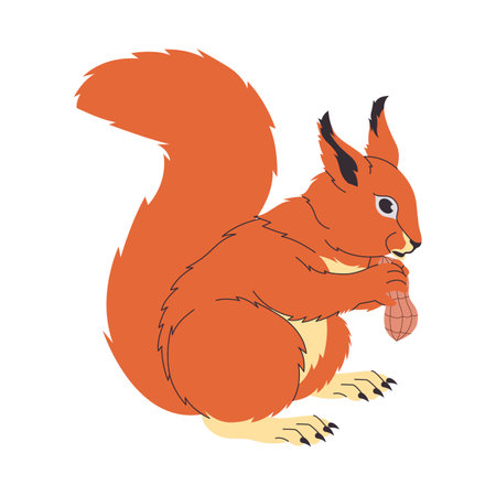 red squirrel rodent cute furry small animal holding and eating nut wild nature mammal creatureのイラスト素材