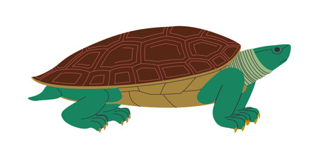 green turtle with brown shell wild nature omnivorous animal and slow walk reptile creatureのイラスト素材