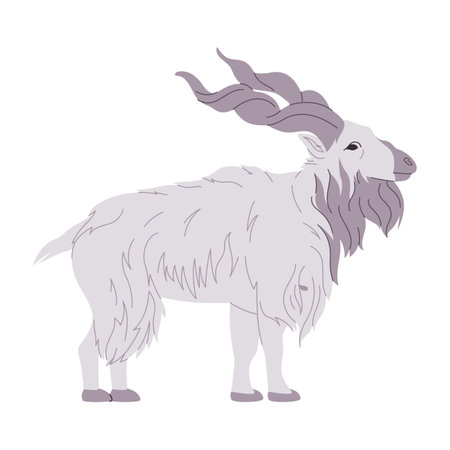 white color markhor wild nature animal big goat with spiral horned herbivore mammal creatureのイラスト素材