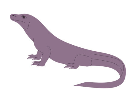 komodo dragon wild nature animal large lizard carnivore endangered reptile with long tailのイラスト素材