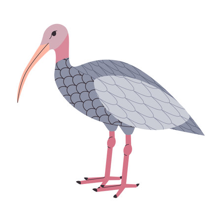 gray color giant ibis waterbird wild nature animal predator creature have long feet and curve beakのイラスト素材