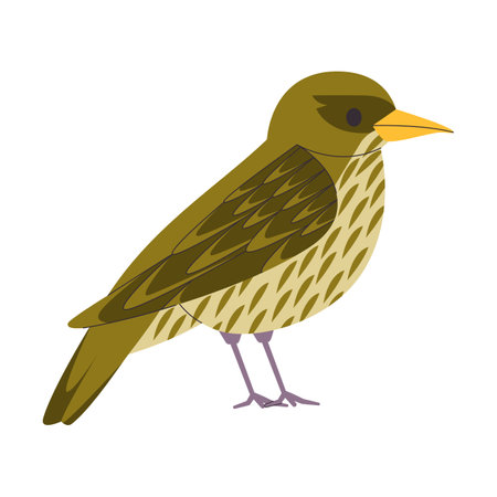 green color small bird palmchat species pretty cute nature animal wildlife creatureのイラスト素材